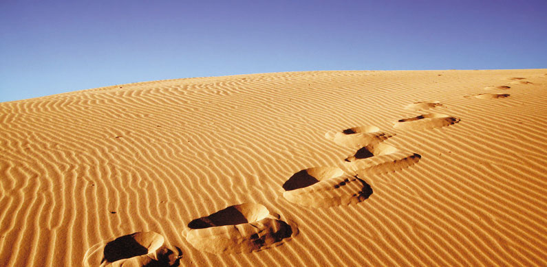 Sanddne